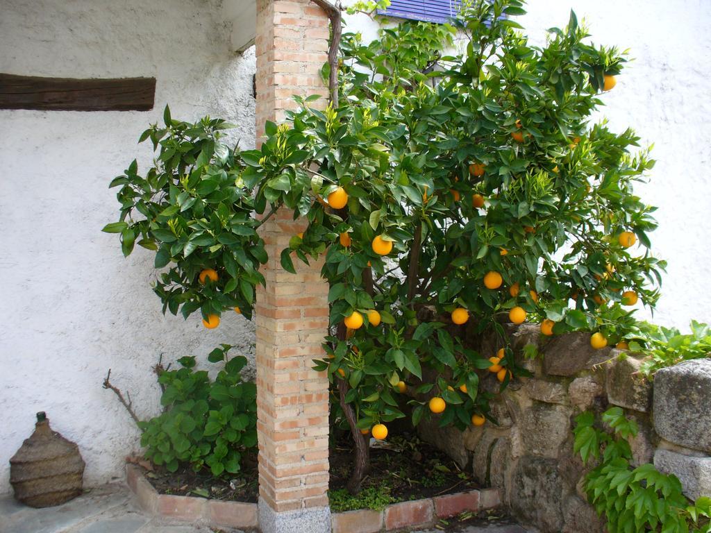 Hotel Labranza San Martin de Valdeiglesias Bagian luar foto